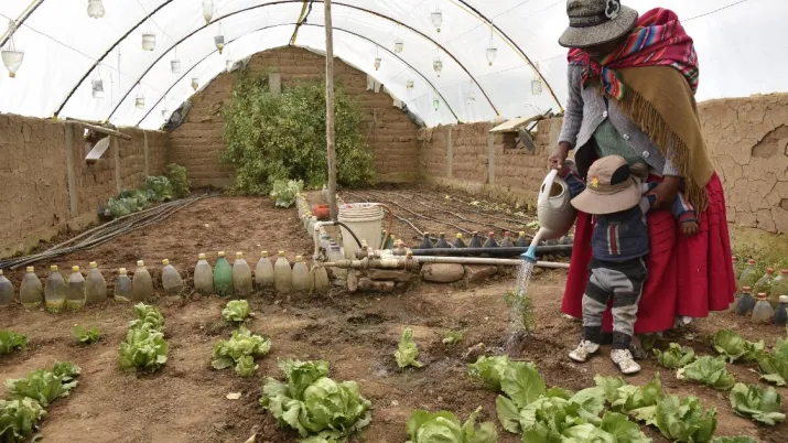 Consolidation d’une agriculture résiliente au changement climatique 